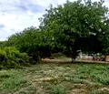 Снимка 4 — Парцел във Варна, м-т Манастирски рид