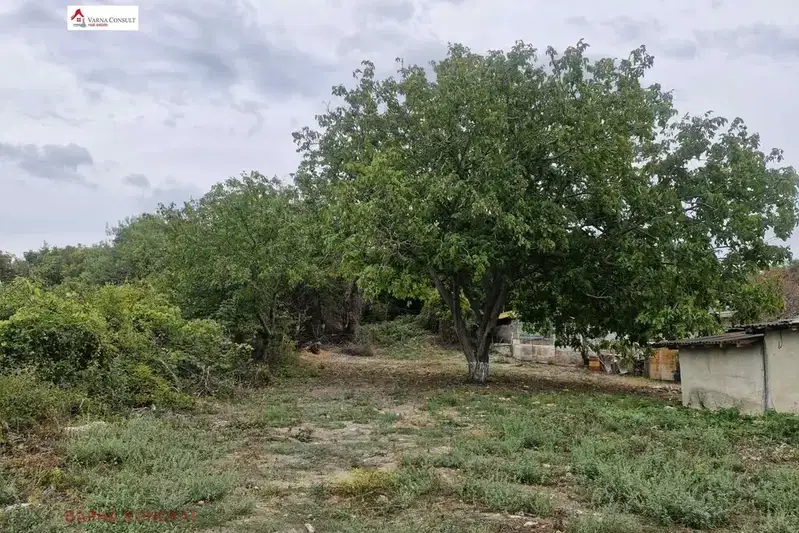 Парцел във Варна, м-т Манастирски рид