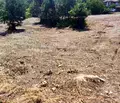 Снимка 3 — Парцел във Варна, м-т Манастирски рид