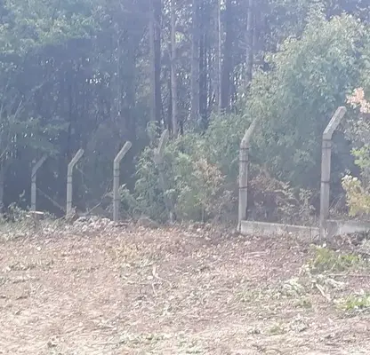 Снимка 3 — Парцел във Варна, м-т Манастирски рид