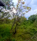 Парцел във Варна, м-т Ментешето