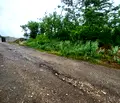 Снимка 4 — Парцел в Плевен, м-т Мъртва долина