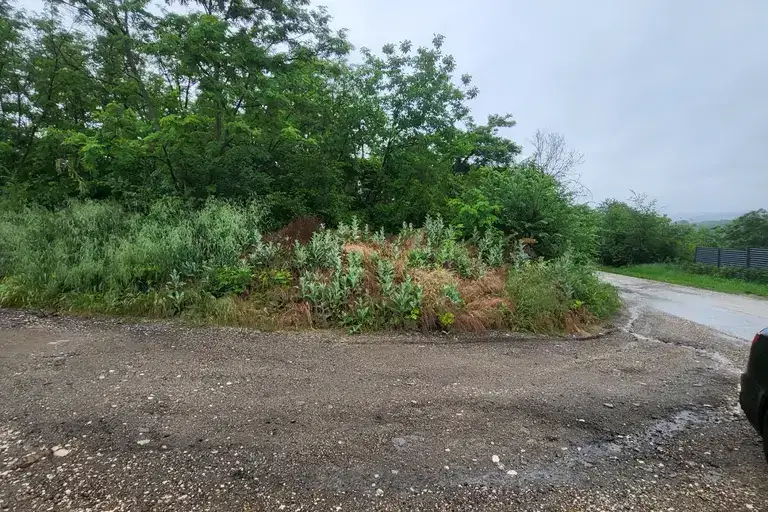 Plot in Pleven, Myrtva Dolina