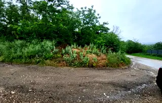 Парцел в Плевен, м-т Мъртва долина