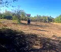 Снимка 5 — Парцел в Плевен, м-т Орлето