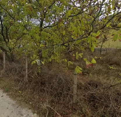 Photo 2 — Plot in Varna, Perchemliyata