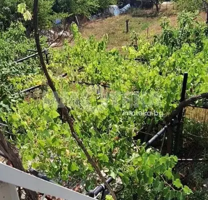 Photo 5 — Plot in Varna, Perchemliyata