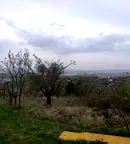Парцел във Варна, м-т Планова