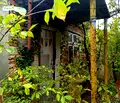 Снимка 4 — Парцел във Варна, м-т Планова
