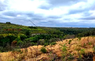 Парцел в Плевен, м-т Плочата