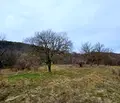 Снимка 3 — Парцел в Шумен, м-т Под Манастира