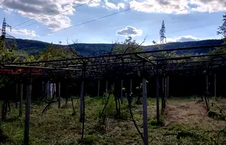 Парцел в Шумен, м-т Под Манастира