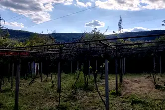Парцел в Шумен, м-т Под Манастира