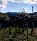 Парцел в Шумен, м-т Под Манастира