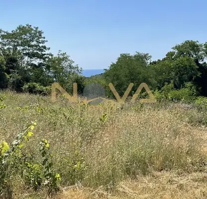 Photo 4 — Plot in Varna, Priboi