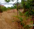 Снимка 5 — Парцел във Варна, м-т Припек