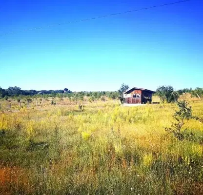 Photo 2 — Plot in Varna, Rakitnika