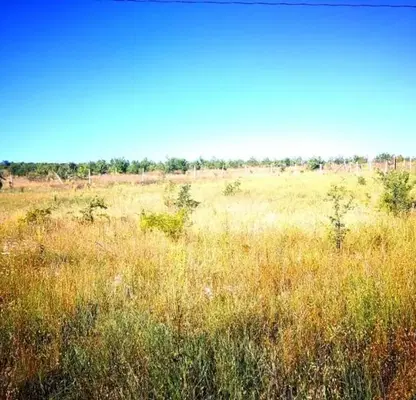 Photo 3 — Plot in Varna, Rakitnika