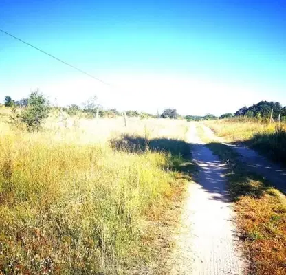Photo 4 — Plot in Varna, Rakitnika