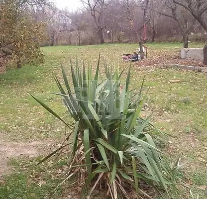 Photo 3 — Plot in Varna, Rakitnika