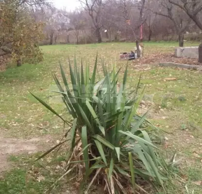 Photo 4 — Plot in Varna, Rakitnika