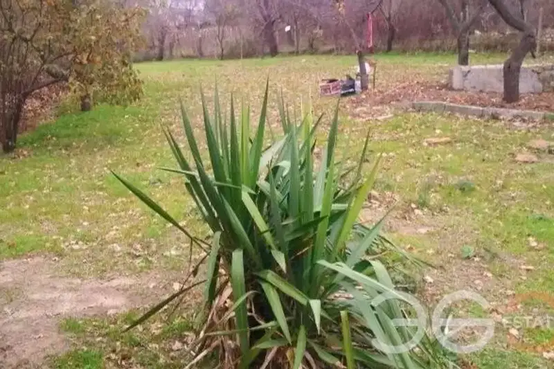 Plot in Varna, Rakitnika