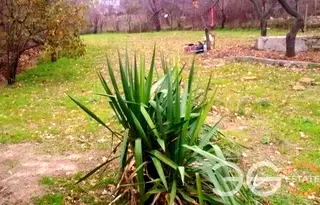 Парцел във Варна, м-т Ракитника
