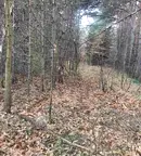 Парцел в София, м-т Щъркелово гнездо