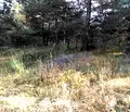 Снимка 2 — Парцел в София, м-т Щъркелово гнездо