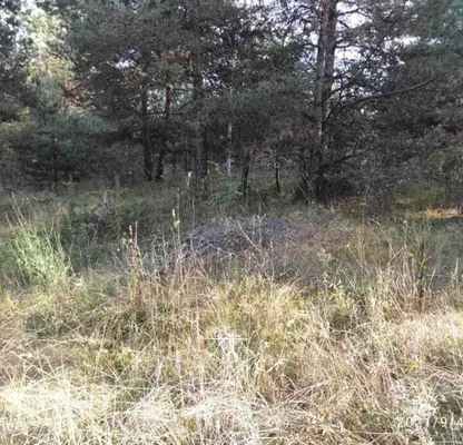 Photo 2 — Plot in Sofiya, Shtyrkelovo Gnezdo
