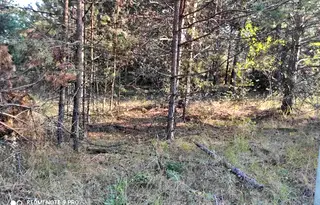 Парцел в София, м-т Щъркелово гнездо