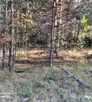 Парцел в София, м-т Щъркелово гнездо