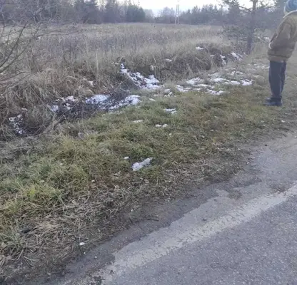 Снимка 2 — Парцел в София, м-т Щъркелово гнездо