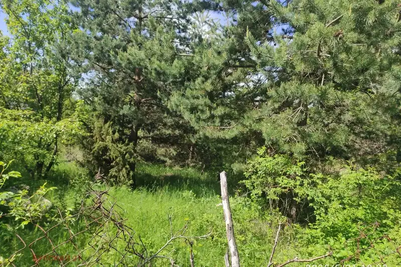 Plot in Sofiya, Shtyrkelovo Gnezdo