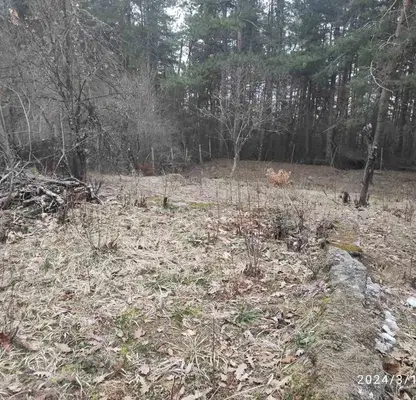 Photo 2 — Plot in Sofiya, Shtyrkelovo Gnezdo