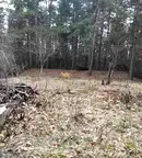 Парцел в София, м-т Щъркелово гнездо