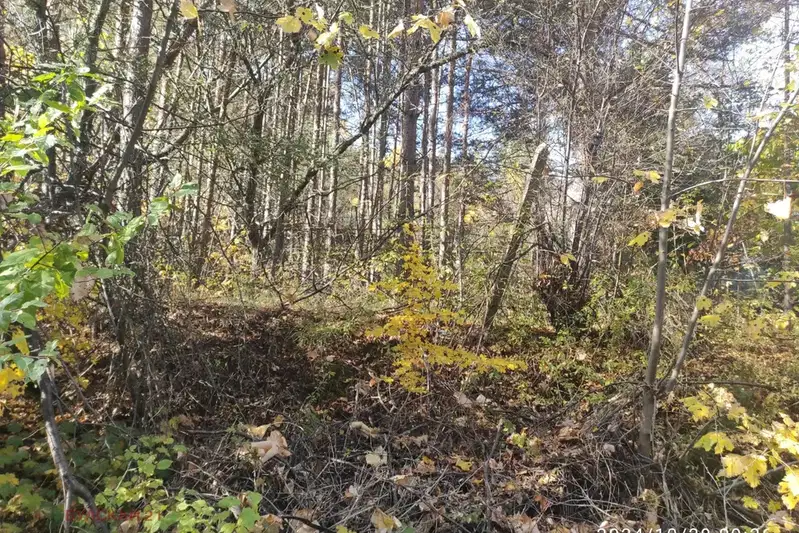 Plot in Sofiya, Shtyrkelovo Gnezdo