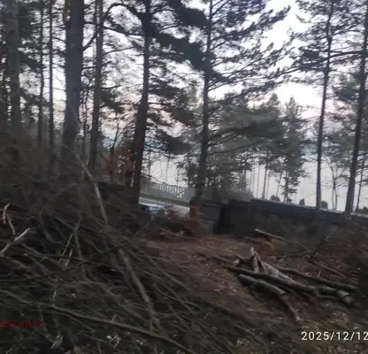 Снимка 2 — Парцел в София, м-т Щъркелово гнездо