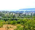 Снимка 2 — Парцел във Варна, м-т Сотира