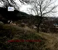 Снимка 4 — Парцел във Варна, м-т Сотира