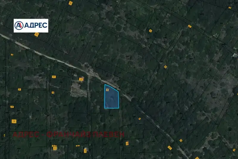Plot in Pleven, Strajata