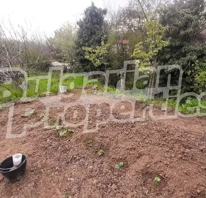 Photo 2 — Plot in Varna, Sylzica