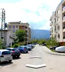 Парцел в София, Манастирски ливади
