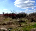 Снимка 5 — Парцел в Стара Загора, Метро