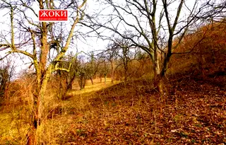 Парцел в Перник, Могиличе