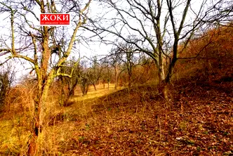 Парцел в Перник, Могиличе