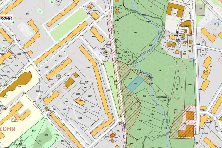 Plot in Sofiya, Musagenica