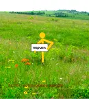 Парцел в Стара Загора, Никола Петков