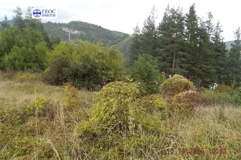 Plot in Smolyan, Nov Centyr