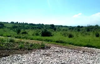 Парцел в София, Обеля
